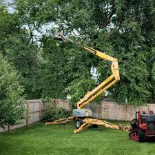 Best Utility Line Clearance  in New Concord, OH